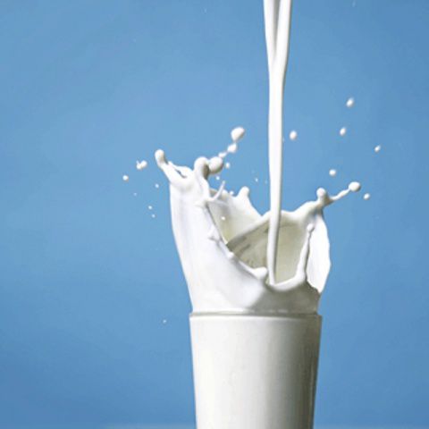 В молочной продукции из Хабаровского края найдены опасные бактерии